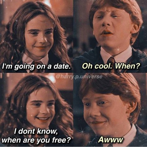 Harry Potter And Hermione, Harry Potter Funny Pictures, Funny Harry Potter, Citate Harry Potter, Harry Potter Voldemort, Harry Potter Parody, Glume Harry Potter, Harry Potter Illustrations, Harry Potter Memes Hilarious