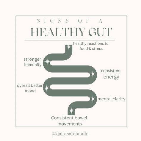 Gut health is the foundation of whole body health. Here's a few different signs you have a healthy gut. Hollistic Health, Gym Nutrition, Gut Health Diet, Tea Health, Gut Healing Recipes, Improve Nutrition, Health Post, Tea Health Benefits, Different Signs