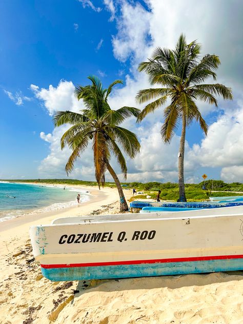 28 Fun Things To Do in Cozumel, Mexico - Traveling with Aga Things To Do In Cozumel, Cozumel Mexico, Mayan Ruins, Cruise Travel, Cozumel, Boat Tours, Mexico Travel, Plan Your Trip, Cruise Ship