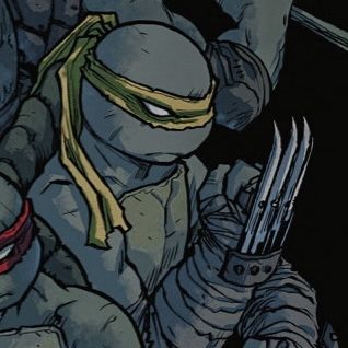 TMNT comics icon Comic Profile Picture, Comic Profile, African Warrior Tattoos, Raphael Ninja Turtle, Raphael Tmnt, Tmnt Mikey, Tmnt Characters, Leonardo Tmnt, Tmnt Comics