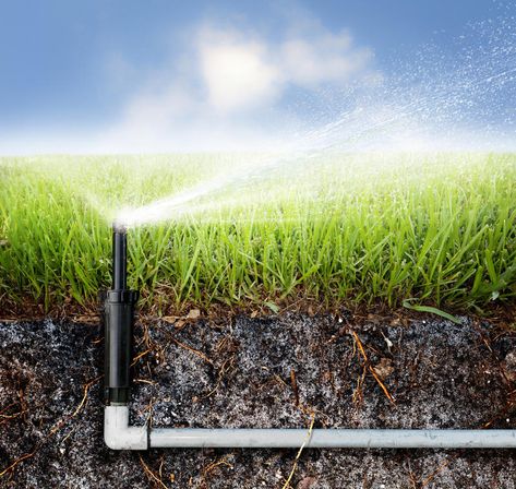 Sprinkler Repair, Spring Lawn Care, Sprinkler Irrigation, Areas Verdes, Greenhouse Plans, Sprinklers, Sprinkler System, Cosmetic Dentistry, Irrigation System