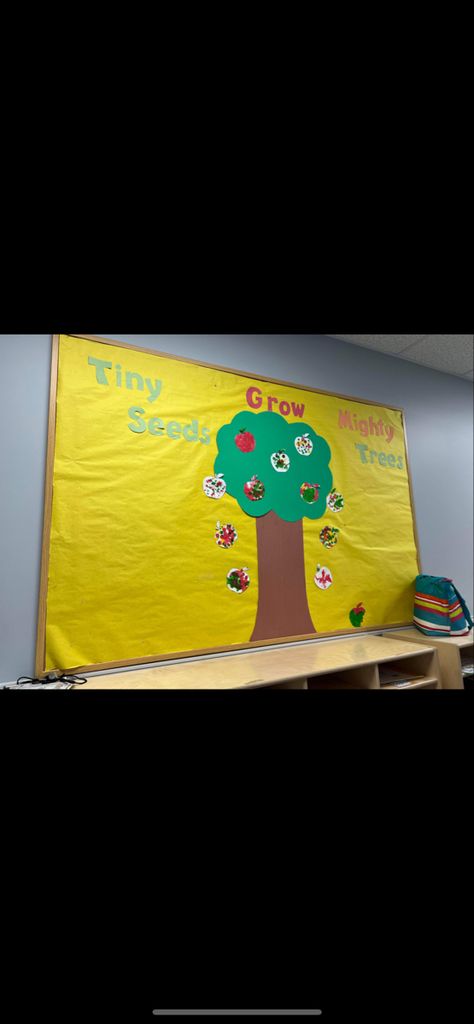 Tiny Seeds Grow Mighty Trees Bulletin, Tiny Seeds Grow Mighty Trees, Preschool Bulletin, Preschool Bulletin Boards, Bulletin Boards, Preschool, Seeds, Trees, Pre School