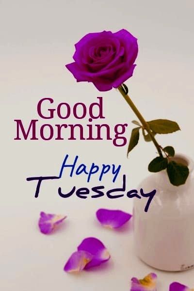 Wishing you a beautiful Tuesday.💜💋 Tuesday Greetings Good Morning, Tuesday Morning Greetings, Good Morning Tuesday Quotes, Tuesday Good Morning Images, Tuesday Morning Quotes, Morning Tuesday Images, Good Morning Tuesday Wishes, Good Morning Happy Tuesday, Happy Tuesday Images