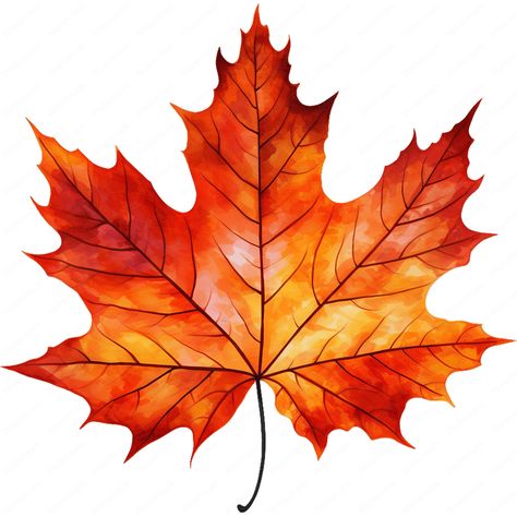 𝐃𝐈𝐆𝐈𝐓𝐀𝐋 𝐃𝐎𝐖𝐍𝐋𝐎𝐀𝐃: Explore our charming collection of maple leaf clipart, showcasing the beauty of nature in intricate designs. Each image captures the elegance of a maple leaf, meticulously crafted for your creative projects. The collection is conveniently packaged in five zip files for effortless downloading. 𝐇𝐢𝐠𝐡-𝐪𝐮𝐚𝐥𝐢𝐭𝐲 𝐏𝐍𝐆𝐬: Each image is meticulously crafted at a resolution of 300DPI with a spacious 4200 x 4200px dimension, ensuring print-readiness. These files feature a transparent background, perfect for your creative projects. 𝐅𝐫𝐞𝐞 𝐁𝐚𝐜𝐤𝐠𝐫𝐨𝐮𝐧𝐝 𝐑𝐞𝐦𝐨𝐯𝐞𝐫: If you need to remove the background from any of these images, you can easily do so by using the following link: https://www.adobe.com/express/feature/image/remove-background or just Autumn Maple Leaf, Maple Leaf Doodle, Fall Leaf Pictures, Maple Leaf Clipart, Fall Leaves Art, Maple Leaf Art, Leaf Printable, Natural Motifs, Leaf Png