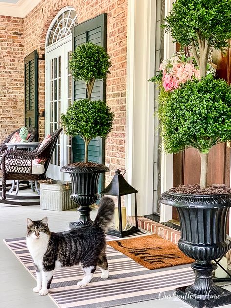 Best Faux Plants for the Front Porch! - Girl Who Travels the World Porch Topiary Ideas, Front Porch Topiary Ideas, Front Porch Topiary, Porch Topiary, Diy Topiaries, Exterior Plants, Porch Urns, Topiary Ideas, Curbside Appeal