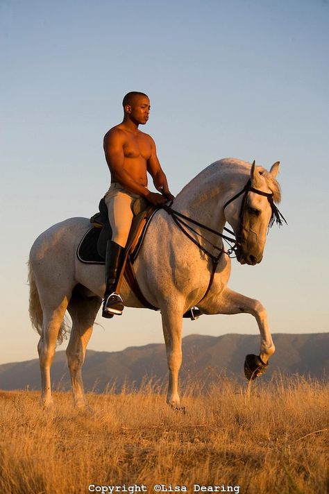 Handsome man on beautiful horse! Man On Horse, Black Cowboys, Andalusian Horse, Horse Drawing, Character Poses, American West, Environment Concept Art, Pose Reference Photo, Horse Rider