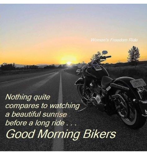 Good Morning Bikers! Ride If You Can!  #goodmorning #Friday #TGIF #bikerlife #harleylife #lifebehindbars #ftw #rideordie Bike Riding Tips, Quotes Motorcycle, Ride Quotes, Harley Davidson Quotes, Morning Ride, Riding Quotes, Bike Sketch, Biker Chic, Biker Life