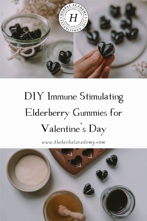 DIY Immune Stimulating Elderberry Gummies for Valentine's Day | Herbal Academy | These elderberry gummies are not only delicious but will provide immune-stimulating support for your loved ones! Coldsore Remedies Quick, Elderberry Juice, Herbal Academy, Homemade Business, Candy Alternatives, Gummies Recipe, Healthy Valentines, Elderberry Gummies, Healthy Candy