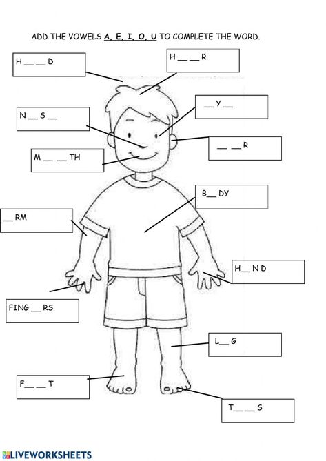 Activity For Grade 1, Spanish Body Parts, Body Parts Worksheet, French Body Parts, Body Parts In Spanish, Body Parts For Kids, Worksheet For Class 2, Human Body Worksheets, Worksheets For Class 1