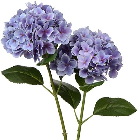 Amazon.com: Faux Hydrangea Large Artificial Purple Hydrangea Flowers 24.8" Real Touch Hydrangea Flowers Lifelike Silk Hydrangea Stems for Wedding Party Garden Home Decor-2PCS: Kitchen & Dining Hydrangea Arrangements Wedding, Lavender Hydrangea, Large Hydrangea, Blue Hydrangea Flowers, Fake Hydrangeas, Purple Hydrangea, Hydrangea Colors, Growing Hydrangeas, Faux Hydrangea