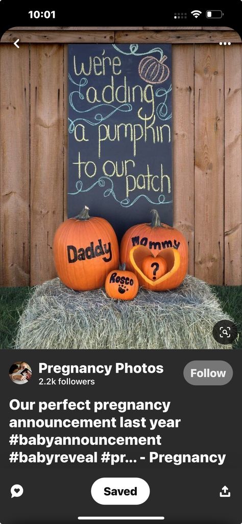 Fall General Reveal, Fall Gender Reveal Decorations, Fall Theme Gender Reveal, Fall Gender Reveal Ideas, Fall Gender Reveal Party, Pumpkin Gender Reveal, November Ideas, Gender Reveal Themes, Baby Gender Reveal Party