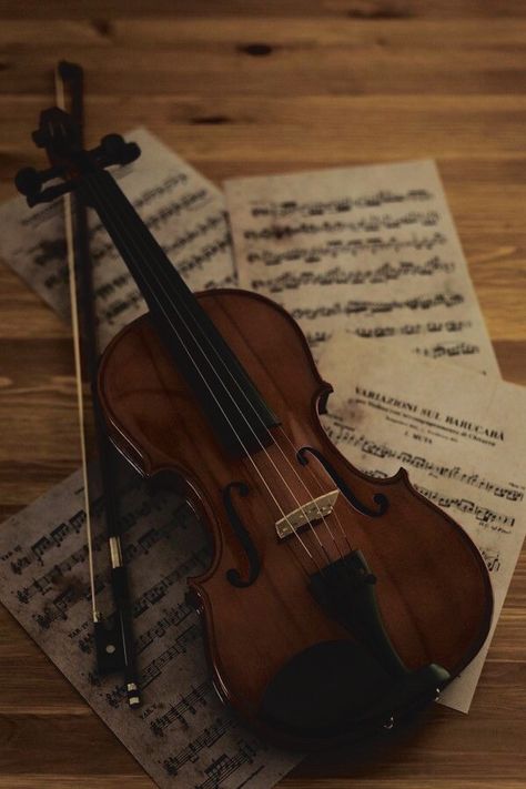 Violin Aesthetic, Panti Asuhan, Dark Acadamia, Music Motivation, Violin Music, Vintage Icons, Teen Fiction, The Infernal Devices, Dark Academia Aesthetic