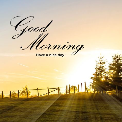 Good Morning Nature Images, Good Morning Status, Good Morning Sun, Morning Massage, Good Morning Message, Good Morning Massage, Morning Status, Happy Pongal, Good Morning Coffee Images