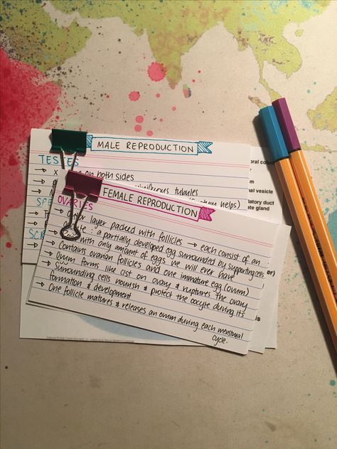 Biology Flashcards For Neet, Flash Cards Design Ideas, How To Make Revision Cards, Cue Cards Study, Flash Card Design Ideas, Flash Cards Ideas Study Science, Vocab Flashcards Aesthetic Ideas, How To Make Flashcards For Studying, Cute Flashcards Ideas