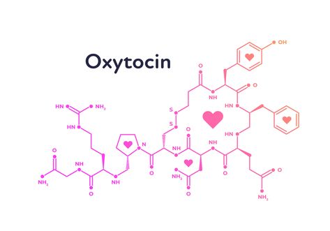 Oxytocin Tattoo, Oxytocin Hormone, Chemistry Tattoo, الجدول الدوري, Chemistry Teacher Gift, Tactile Stimulation, Lip Wallpaper, Chemistry Notes, Naturopathic Doctor