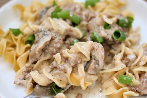 Instant Pot Ground Beef Stroganoff--a creamy mushroom sauce with ground beef served over egg noodles. An easy recipe to make that uses common ingredients and it's delicious to eat. Crock Pot Stroganoff, Ground Beef Stroganoff Recipe, Stroganoff Beef, Easy Ground Beef Stroganoff, Slow Cooker Ground Beef, Beef Stroganoff Crockpot, Beef Stroganoff Recipe, Beef Stroganoff Easy, Ground Beef Stroganoff