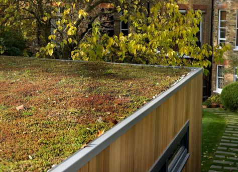 Green Roof Garden, Shed Design Plans, Sedum Roof, Green Roof System, Sedum Plant, Grass Roof, Roofing Options, Green Facade, Roof Extension