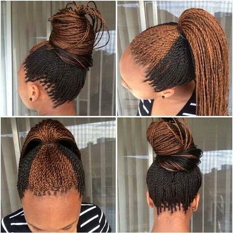 Two colour twist out Micro Braids Styles, Micro Braids Hairstyles, Senegalese Twist Hairstyles, Cornrows Styles, African Hair Braiding Styles, Micro Braids, Senegalese Twist, Beautiful Braids, Popular Haircuts