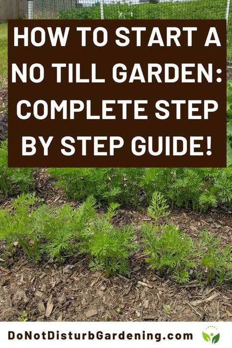 Prepping Soil For Vegetable Garden, No Soil Gardening, How To Prep Soil For Vegetable Garden, Zone 10 Perennials, No Till Vegetable Garden, No Dig Garden Layout, No Till Garden Layout, Prepare Soil For Vegetable Garden, Garden Tilling