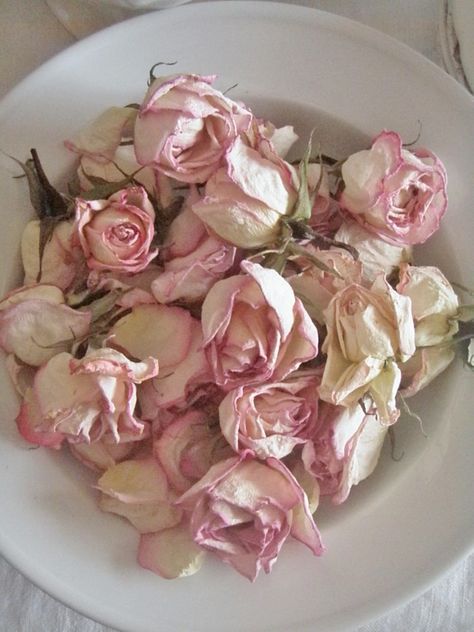 * Pink Tea Party, Drying Roses, Cottage Rose, Cabin Cottage, Deco Rose, Pot Pourri, Pink Tea, Romantic Roses, Rose Cottage