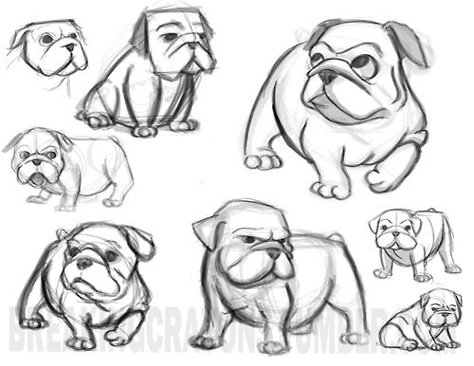 Cute Bulldog Cartoon Drawing Sketch Coloring Page Cute Bulldog Drawing, Dogs Cartoon, Drawing Coloring Pages, Bulldog Drawing, Drawing Dogs, Cartoon Drawings Sketches, Bulldog Tattoo, Dog Drawings, Cute Bulldogs