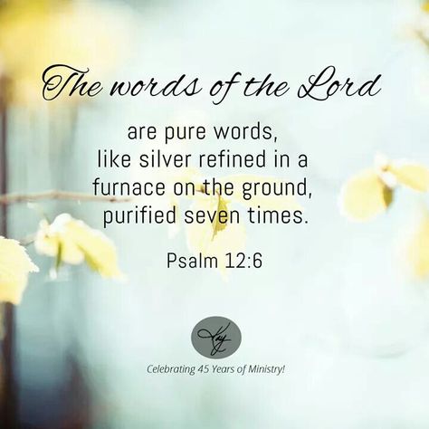 Psalm 12:6 I am purified 7 times too thank you Spirit Of Discernment, Psalm 12, Wisdom Bible, Daily Bible Verses, Morning Greetings Quotes, How He Loves Us, Pep Talks, Daily Bible Verse, Daily Bible