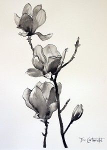 Pen and ink drawing of Magnolias Pen And Ink Techniques, Black Ink Art, Ink Techniques, China Ink, Pen And Wash, Tinta China, White Drawing, Ink Wash, India Ink