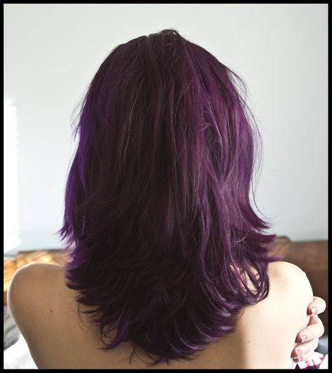 Violet Brown Hair, Pravana Violet, Pravana Vivids, Dark Purple Hair, Windows To The Soul, Violet Brown, Plum Hair, Wine Hair, Hair Tint