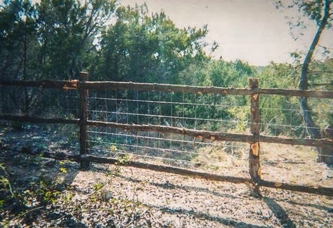 Rustic Fence Ideas Country Living, Cedar Post Fence, Cheap Diy Fence, Fence On A Budget, Diy Fence Ideas, Concan Texas, Sheep Pasture, Ranch Fence, Cedar Fence Posts