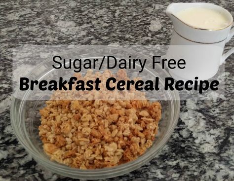 sugar and dairy free cereal Breakfast Cereal Recipes, Dairy Free Breakfast Recipes, Granola Oatmeal, Cinnamon Cereal, Gluten Free Cereal, Oatmeal Breakfast Cookies, Diy Breakfast, Cream Of Wheat, Stuff To Cook