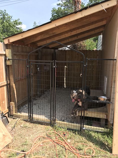 Kennel Ideas Outdoor, Building A Dog Kennel, Dog Kennel Ideas, Dog Backyard, Dog Kennel Designs, Diy Dog Kennel, Kennel Ideas, Outdoor Dog House, Dog Spaces