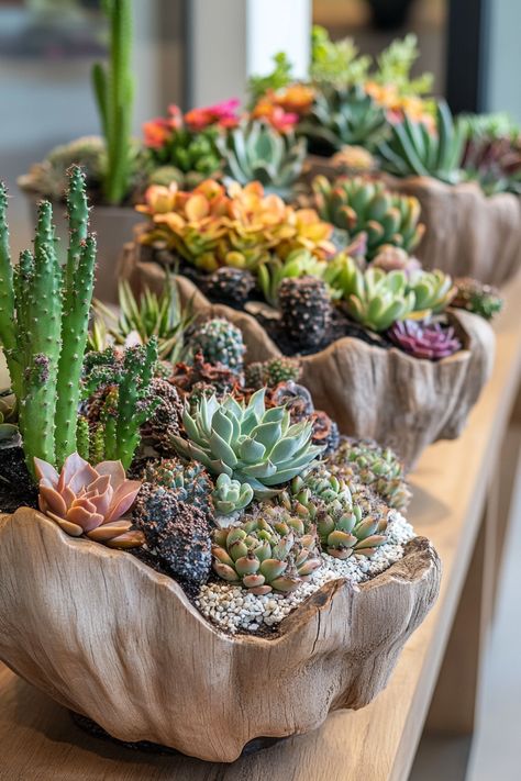 Explore creative succulent and cactus planter ideas! Discover tips for thriving growth and unique displays. #Succulents #Cacti Cactus Planter Ideas, Small Succulent Garden, Cactus Ideas, Mini Cactus Garden, Succulent Ideas, Garden Inspo, Succulent Garden Diy, Mini Cactus, Cactus Planter