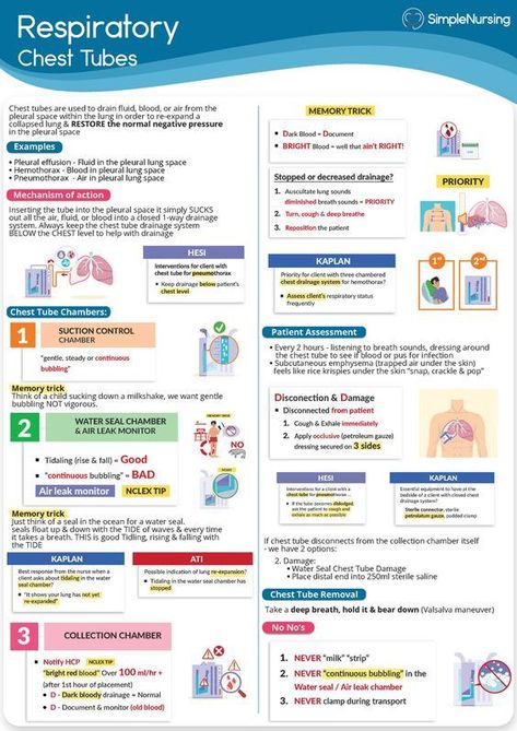 Respiratory Chest Tubes #nursingstudent #nurse #resources - Image Credits: Studocu Pneumothorax Nursing, Respiratory Therapy Notes, Respiratory Therapist Student, Respiratory Therapy Student, Simple Nursing, Chest Tube, Nursing School Essential, Nursing Study Guide, Medical School Life