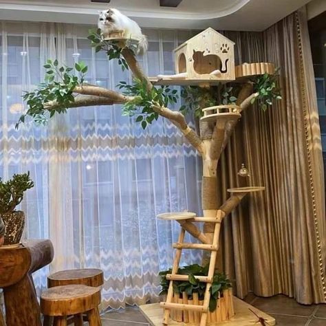 Cat Set Up, Outdoor Cat Tree, Custom Cat Trees, Tree Cat Tower, Unique Cat Trees, Wood Cat Tree, Katt Grejer, Chat Diy, Niche Chat