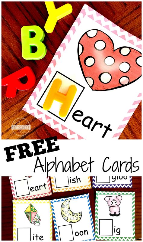 FREE Letter Sounds Alphabet Cards - These are such a fun, hands on educational activity to help kids identify the alphabet letter that goes with the beginning letter sounds. Perfect for preschool, prek, kindergarten to get ready to read. Beginning Letter Sounds, Letter Sound Activities, Alphabet Sounds, Kindergarten Letters, Phonemic Awareness Activities, Printable Alphabet Letters, Letter Sound, Preschool Literacy, Preschool Letters