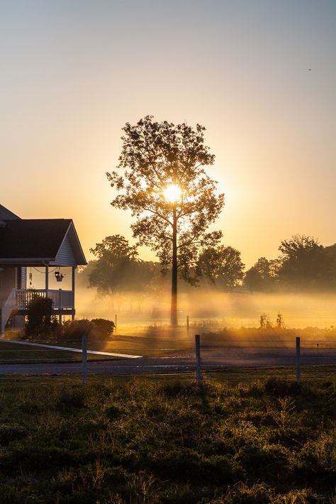 Shipshewana Indiana, Amish Culture, Amish Farm, Future Farms, The Sun Rises, Sun Rises, Amish Country, Country Farm, Farm Life