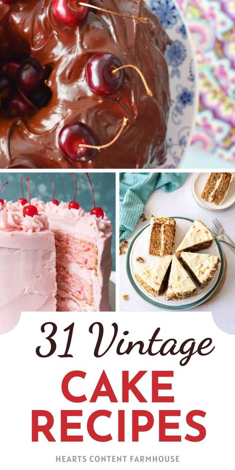 31 Old Fashioned Cake Recipes Inspired by Grandma's Kitchen Vintage Cake Flavors, Classic Cakes Vintage, Boil Cake Recipes, Retro Cake Recipes, Vintage Cake Recipes Homemade, Old Time Dessert Recipes, Vintage Birthday Cake Recipe, Retro Dessert Recipes, Unusual Cakes Recipes