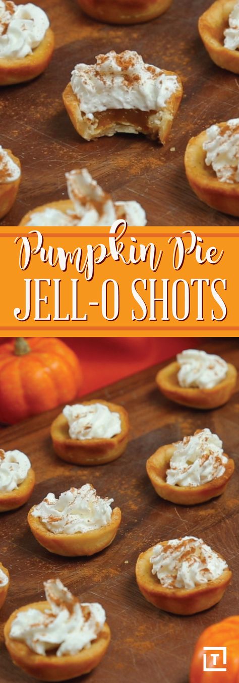 Pumpkin pie season is officially here. We're obsessed with the classic Halloween dessert no matter which mouthwatering form it takes -- so you can understand our excitement when we heard about these pumpkin pie Jell-O shots. It's every multi-tasker's dream: you can treat yourself to dessert and get a festive buzz going at the same time, which makes these adorable little crusts of joy the life of any party. Tailgate Finger Food, Pumpkin Shots, Friendsgiving Dessert Ideas, Pumpkin Pie Shots, Spiked Desserts, Friendsgiving Dessert, Making Pumpkin Puree, Party Food Ideas For Adults, Jello Pie