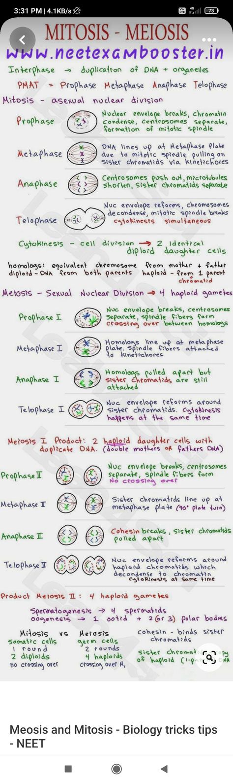 Short notes or kinda flashcards of biology 11 Biology Notes, Icse Class 10 Biology Notes, Class 11 Biology Notes Cell Cycle And Cell Division, Cell Cycle And Cell Division Mind Map, Cell Cycle And Cell Division Notes For Neet, Bio Notes Class 11, Cell The Unit Of Life Notes For Neet, Biology Neet Tricks, Biomolecules Notes Biology Class 11