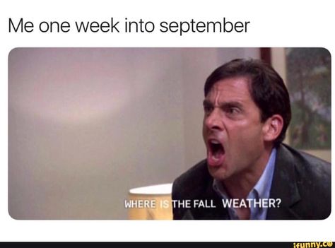 4 Panel Life, Fall Memes, Memes Br, Fall Weather, Oui Oui, Really Funny Memes, One Week, Funny Posts, Relatable Quotes