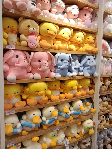 Miniso Store Aesthetic, Cutest Plushies, Miniso Plushies, Plushies Aesthetic, Toy Collection Room, Teddy Bear Shop, 17th Birthday Ideas, Cute Squishies, Photos For Profile Picture