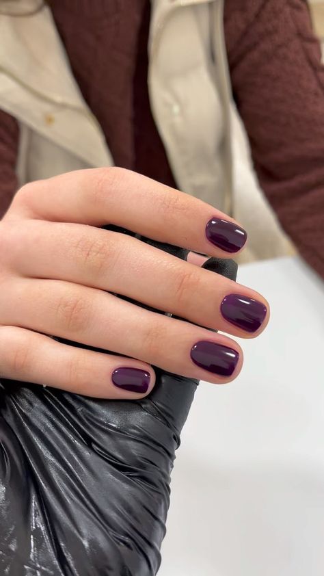 Dark Purple Nails, Money Nails, Look Rich, Short Gel Nails, Purple Nail Polish, Purple Nail, Casual Nails, Soft Nails, Cat Kuku