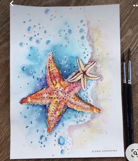 Seastar Drawing, Sea Life Art Drawing, Sea Life Drawings, Shells Watercolor, Starfish Watercolor, Watercolor Starfish, Starfish Painting, Starfish Art, Beachy Art