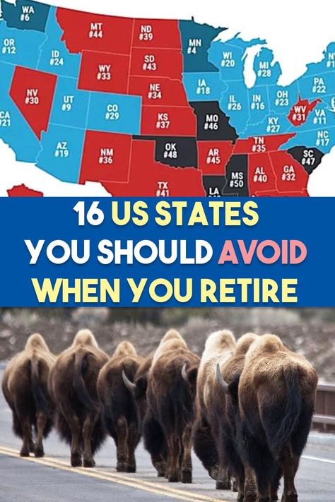 Five of the top 10 most popular states to retire in make the list. Places To Retire United States, Best States To Retire In, Where To Retire In The Us, Best Places To Retire United States, Rv Trips Planning U.s. States, Down Sizing, Reading Suggestions, Free Land, Jeanne Marie