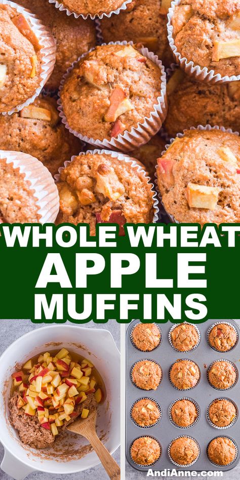 These Whole wheat apple muffins are made using sweet apples, cinnamon, honey, and whole wheat flour making a hearty golden brown muffin. Recipes That Use Whole Wheat Flour, Heart Healthy Breakfast Muffins, Wheat Breakfast Recipes, Whole Wheat Banana Bread Muffins, Whole Wheat Recipes Baking, Whole Wheat Baked Goods, Whole Wheat Apple Bread, Whole Wheat Muffins Healthy, Whole Wheat Flour Dessert Recipes