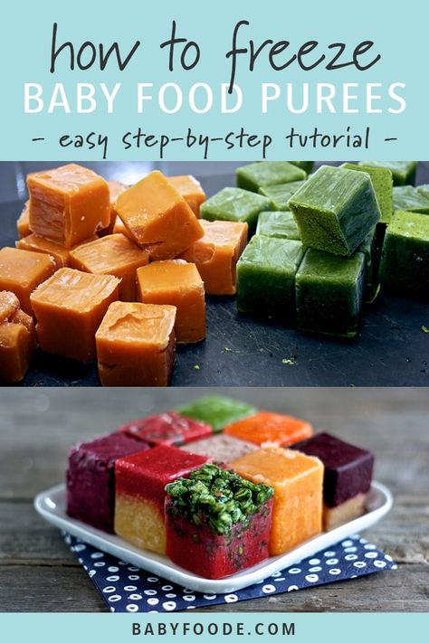 How To: Freeze Baby Purees - Baby Foode Lactation Recipes Easy, Freezer Baby Food, Recipes To Freeze, Baby Purees, Easy Homemade Baby Food, Freezing Baby Food, Baby Carrot Recipes, Homemade Baby Food Recipes, Crunchy Mom