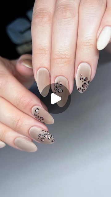 Gabi De la Cruz on Instagram: "Bringing my client’s ideas to life 🎨  Matte cat eye with glossy leopard spots 🐆 a week ago I could not be convinced that I would like matte cat eye 😂 but these turned out so velvety I looove them.   For these we used @bevlah_usa rose builder gel as usual.  It’s been my favorite for long nails for a while!   The magnetic gels are @icegel_global mist collection. Magnets from amazon 💕  #nailart #naturalnails #gelnails #bayareanails #groovynails #nailinspo #fyp #cateyenails #almondnails  #trendynails #nailtrends #chromenails  #nailtutorial #nailvideo #nailtutorials  POV you nail art natural nails natural long nails gel nails Bay Area nails groovy nails nail inspo chrome nails matte nails tutorial grwm watch" Cat Eye Nails Matte, Cat Eye Matte Nails, Matte Magnetic Nails, Cat Eye Nails Design Tutorial, Cat Eye With Design Nails, Nail Ideas Cat Eye, Magnet Nails Design, Matte Cat Eye Nails, Chrome Nails Matte