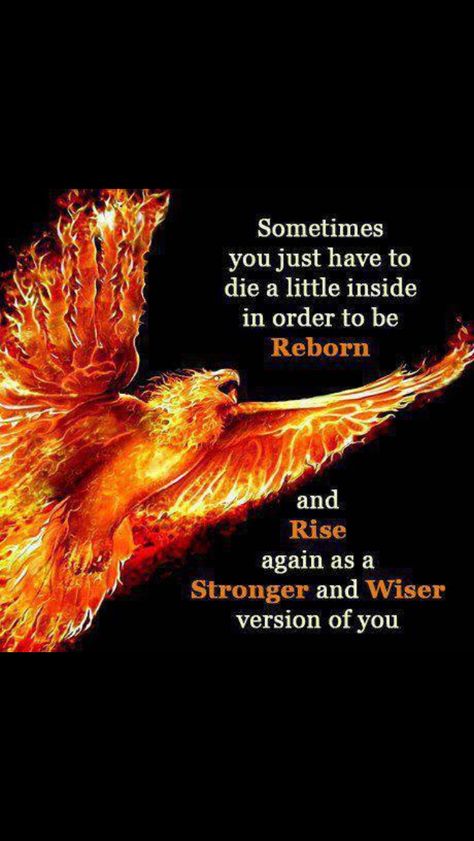 fight from the ash. i am rising with a ferocious little fighter! to become everything i want to be. to be kinder than i could have imagined. Phoenix Bird Quotes, Phoenix Quotes, Phoenix Images, Bird Quotes, Phoenix Bird, Positive Mind, A Poem, A Quote, A Fire