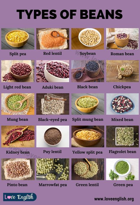 Types Of Beans Chart, Kacang Polong, Types Of Beans, Food Vocabulary, Food Infographic, Dry Beans, Food Info, Food Out, Cooking Basics