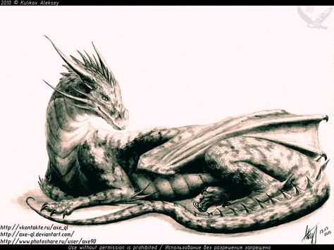 Laying Dragon_Ph by axe-ql.deviantart.com on @DeviantArt Mythical Creatures Drawings, Drawing Dragon, Dragon Drawings, Beautiful Tumblr, Big Dragon, Dragon Artwork Fantasy, Drawing Tutorials For Beginners, Cartoon Dragon, Creature Drawings